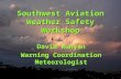 Southwest Aviation Weather Safety Workshop David Runyan Warning Coordination Meteorologist.