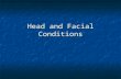 Head and Facial Conditions. Anatomy of Head and Face Bones of skull Bones of skull Cranium Cranium Protects the brain Protects the brain Facial Facial.
