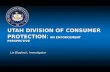 UTAH DIVISION OF CONSUMER PROTECTION : AN ENFORCEMENT PERSPECTIVE Liz Blaylock, Investigator.