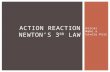 Forces Make a Lovely Pair ACTION REACTION NEWTON’S 3 RD LAW.