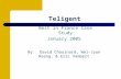 1 Teligent Best in France Case Study January 2005 By: David Chouinard, Wei-Jyun Hoang, & Eric Vambert.