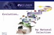 Regents Biology 2006-2007 by Natural Selection Evolution…