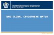 WMO WMO GLOBAL CRYOSPHERE WATCH. The Global Cryosphere Watch 2 The GCW Steering Group Árni Snorrason (IMO), Chair, GCW Steering Group.
