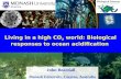 0 John Beardall, Monash University, Clayton, Australia Living in a high CO 2 world: Biological responses to ocean acidification.