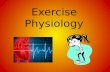 Exercise Physiology. Circulatory System What is the Human Circulatory System ? The main organ of the circulatory system is the Human Heart. The other.