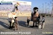 Destination Flyways Taej Mundkur. Destination Flyways The project focuses on the protection of migratory birds and their habitats and the creation of.