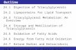Outline 24.1 Digestion of Triacylglycerols 24.2Lipoproteins for Lipid Transport 24.3Triacylglycerol Metabolism: An Overview 24.4Storage and Mobilization.