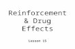 Reinforcement & Drug Effects Lesson 15. Operant Conditioning n Acquisition & Maintenance of behavior l important for survival l Response Consequences.