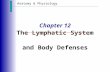 Anatomy & Physiology Chapter 12 The Lymphatic System and Body Defenses.