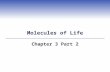 Molecules of Life Chapter 3 Part 2. 3.5 Proteins – Diversity in Structure and Function  Proteins are the most diverse biological molecule (structural,
