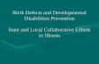 Birth Defects and Developmental Disabilities Prevention State and Local Collaborative Efforts in Illinois.