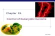 AP Biology 2005-2006 Chapter 19. Control of Eukaryotic Genome.