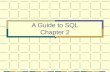1 A Guide to SQL Chapter 2. 2 Introduction Mid-1970s: SQL developed under the name SEQUEL at IBM by San Jose research facilities to be the data manipulation.