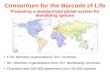 Consortium for the Barcode of Life Promoting a standardized global system for identifying species 170+ Member organizations, 50+ countries 35+ Member organizations.
