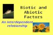 Biotic and Abiotic Factors An interdependent relationship.
