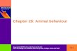 28-1 Copyright  2005 McGraw-Hill Australia Pty Ltd PPTs t/a Biology: An Australian focus 3e by Knox, Ladiges, Evans and Saint Chapter 28: Animal behaviour.