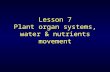 Lesson 7 Plant organ systems, water & nutrients movement.