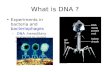 What is DNA ? Experiments in bacteria and bacteriophages – DNA :hereditary material in living organisms.