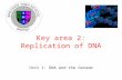 Unit 1: DNA and the Genome Key area 2: Replication of DNA.