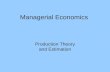 Managerial Economics Production Theory and Estimation.
