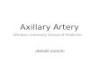 Axillary Artery Windsor University School of Medicine akolade osanoto.
