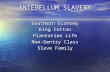 ANTEBELLUM SLAVERY Southern Economy King Cotton Plantation Life Non-Gentry Class Slave Family.