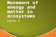 Movement of energy and matter in ecosystems CHAPTER 21.