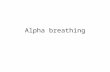 Alpha breathing. EVOCATION Ceramic tiles ceramic tile is tile made of clay.