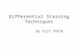 Differential Staining Techniques By Elif TEKİN. Types of Staining Different types of staining methods are used to make the cells and their internal structures.