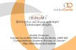 BIological NetwOrk Manager Cytoscape plugin Andrei Zinovyev Institut Curie/INSERM/Ecole de Mines, UMR 900 “Computational Systems Biology of Cancer” .