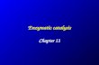 Enzymatic catalysis Chapter 11. Enzymatic catalysis Role of enzymes  serve the same role as any other catalyst in chemistry  act with a higher specificity.