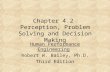 Chapter 4.2 Perception, Problem Solving and Decision Making Human Performance Engineering Robert W. Bailey, Ph.D. Third Edition.