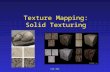 CSE 681 Texture Mapping: Solid Texturing. CSE 681 Texture Mapping Visual complexity on demand Vary display properties over object Location on object used.