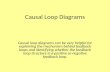 Causal Loop Diagrams Causal loop diagrams can be very helpful for explaining the mechanism behind feedback loops and identifying whether the feedback loop.