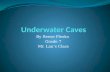 By Reese Plesko Grade 7 Mr. Lau’s Class. Underwater Caves Underwater caves can be very dangerous. Compared to caves not underwater where there is oxygen.