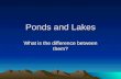 Ponds and Lakes What is the difference between them?