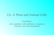 Ch. 4: Plant and Animal Cells Vocabulary: cell, organism, cell membrane, cytoplasm, nucleus, cell wall, chloroplast.