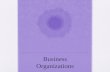 Business Organizations Learning Objectives Distinguish between different types of business organizations State the advantages and disadvantages of different.