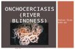 Helen Xiao BIO.62 ONCHOCERCIASIS (RIVER BLINDNESS) opperd/parasites/images/worms.jpg.