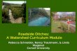 Rebecca Schneider, Nancy Trautmann, & Linda Wagenet Cornell University Roadside Ditches: A Watershed Curriculum Module.