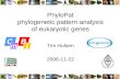 PhyloPat phylogenetic pattern analysis of eukaryotic genes Tim Hulsen 2006-11-22.