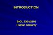 INTRODUCTION BIOL 2304/2101 Human Anatomy. Chapter objectives 1. Define anatomy and compare the different disciplines of anatomy 2. Recognize hierarchy.