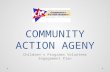 COMMUNITY ACTION AGENY Children’s Programs Volunteer Engagement Plan.