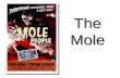 The Mole Calculating Formula/Molar Mass Calculate the molar mass of carbon dioxide, CO 2. 12.01 g + 2(16.00 g) = 44.01 g  One mole of CO 2 (6.02 x 10.