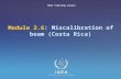 IAEA International Atomic Energy Agency Module 2.6: Miscalibration of beam (Costa Rica) IAEA Training Course.