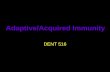 Adaptive/Acquired Immunity DENT 516. Adaptive immunity Refers to antigen-specific defense mechanisms that take several days to become protective and are.