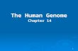 1 The Human Genome Chapter 14. 2 I.Human Heredity A.Human chromosomes – There are 23 pairs of chromosomes. Half the chromosomes are from each parent.
