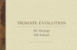 PRIMATE EVOLUTION DC Biology Bill Palmer. Primate Adaptation and Evolution PRIMATE-Group of mammals that includes lemurs, monkeys, apes, and humans Characteristics.