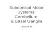 Subcortical Motor Systems: Cerebellum & Basal Ganglia Lecture 21.