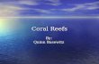 Coral Reefs By: Quinn Basewitz. Parts of Coral A little piece of coral is called a polyp. It takes a hundred years for a inch of coral to grow. The inside.